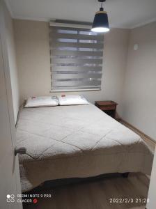 GorbeaDEPARTAMENTO VILLARRICA 2的一间卧室设有一张大床和窗户