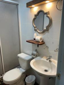 巴拉斯港8 Habitación Privada - Cama Matrimonial的一间带卫生间、水槽和镜子的浴室