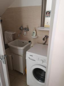 基亚拉蒙泰-古尔菲Lalù的小型浴室设有洗衣机和水槽。
