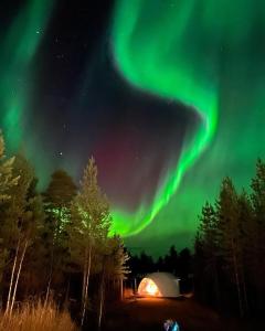 罗瓦涅米Pandomes Aurora Igloo Hotel的天空中北极光的图像