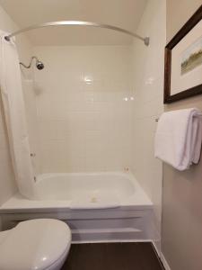 坎莫尔乔治城酒店 的浴室配有白色浴缸和卫生间。