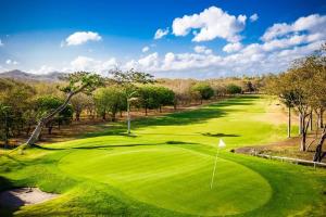 里瓦斯Golf Condo A1 F1: Nice view and access to the largest pool in Hacienda Iguana!的绿色高尔夫球场的图象
