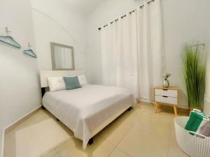 圣胡安Oasis Inn的一间白色卧室,配有床和植物