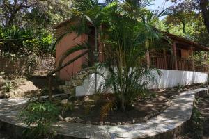 韦尔卡鲍Casa das Irmãs - Só Mulheres - Women Only的房屋前的棕榈树