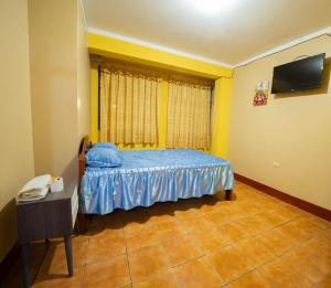 瓦努科HOSTAL TARAPACA的一间小卧室,配有一张床和电视