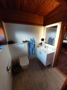 巴特劳特贝格Ferienhaus BIBERCHALET und BIBERBAU的浴室配有白色卫生间和盥洗盆。