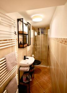 魏玛RÖSCH Apartment的一间带水槽和淋浴的浴室