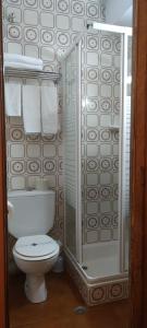 帕斯底拉卡萨阿凡提酒店的一间带卫生间和淋浴的浴室