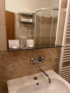 拉贝河畔乌斯季Penzion Greenstar的一间带水槽和玻璃台面的浴室