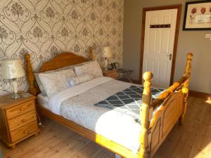 科克Davmar House的一间卧室配有一张床和一个带灯的床头柜