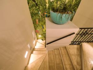 梅里达Casona 66 Merida Boutique Hotel的墙上有一盆植物的楼梯