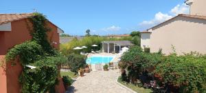 卡麦奥雷Il Tremarino的一个带游泳池和灌木的花园