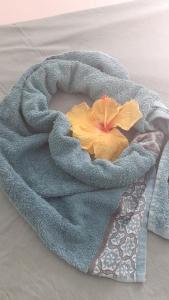 法兰西堡JOYAUX DE TIVOLI VILLA的铺在毯子上床上的花