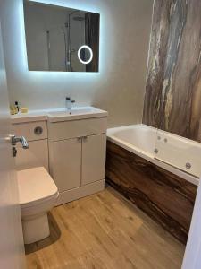 阿伯里斯特威斯四季酒店的一间带水槽、卫生间和镜子的浴室