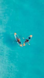 基济姆卡济Bella Vista Resort Zanzibar的蓝天飞翔的蝴蝶风筝