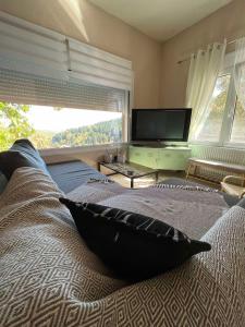 KryonérionHouse on the mountain的一间卧室设有一张大床和一台平面电视。
