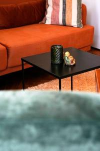 格拉茨Stilvolles Apartment in zentraler Lage的带沙发的客厅内的一张黑咖啡桌