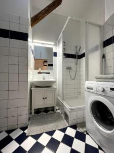 格拉茨Helles Apartment im Zentrum的一间带水槽和洗衣机的浴室