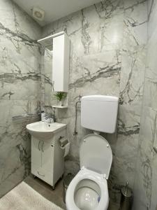 斯拉沃尼亚布罗德Apartman NADA的浴室配有白色卫生间和盥洗盆。
