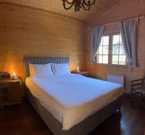 卡尔派尼西翁Riverside Forest Retreat-Chalet的卧室配有一张白色大床和两个窗户
