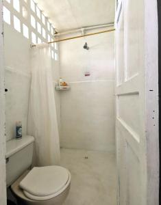 科韦尼亚斯Casa el Muelle的白色的浴室设有卫生间和淋浴。