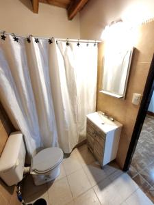 乌斯怀亚Las Violetas的一间带卫生间、水槽和镜子的浴室
