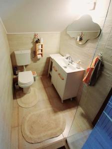 锡纳亚Old Mark's House Sinaia的一间带卫生间和水槽的小浴室