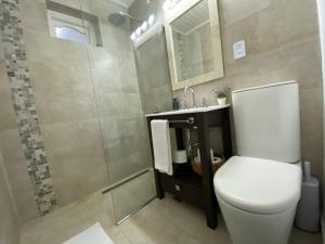 乌斯怀亚Casa Le Martial的浴室配有卫生间、淋浴和盥洗盆。