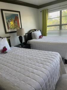 拿骚殖民地俱乐部套房旅馆的酒店客房设有两张床和窗户。