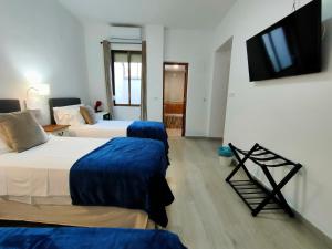 塞维利亚Hotel Zaida的酒店客房设有两张床和一台平面电视。
