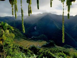 巴纳韦Batad Countryside的从热带雨林中欣赏到山脉美景