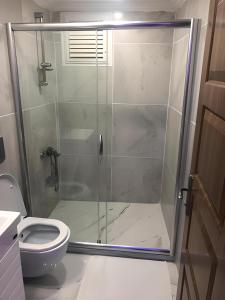 伊斯坦布尔BLUE ROYAL HOTEL的浴室设有玻璃淋浴间和卫生间