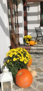 莱斯诺夫Casa Stefu的一群在门廊上种着黄色花的南瓜