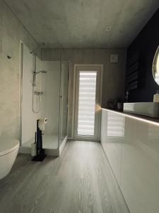 TraisenVoralpen Lodge - Ferienhaus mit Gym, Sauna & Hot Tub的带淋浴、卫生间和盥洗盆的浴室