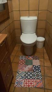 曼雷沙Habitació polivalent al centre de Manresa的浴室设有卫生间,地板上铺有地毯。