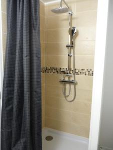 索姆河畔的圣瓦列里Gîte d’Eros的浴室内配有淋浴帘。