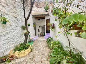 格拉纳达Cueva con vistas a la Alhambra的通往白色建筑的石头走道,有树