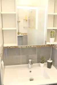蒙彼利埃Apprt Top Center / 2 Chambres / 2 Salles de bain.的一间带水槽和镜子的浴室