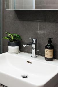 苏黎世Lamira - Serviced Apartments的浴室水槽,配有1瓶肥皂和1面镜子