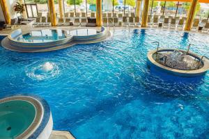 阿然德洛维克A Hoteli - Hotel Izvor的度假村内带两个热水浴池的大型游泳池