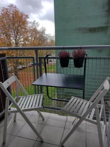 波兹南Dolina 21的阳台上摆放了两把椅子和一张桌子,种植了两株盆栽植物