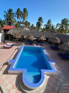 帕杰Amani Hotel Paje的度假村的游泳池,配有遮阳伞和椅子