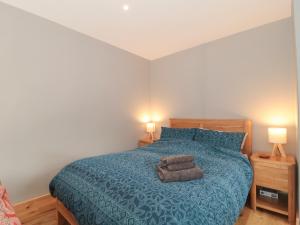 布里德波特24 Heron Court的一间卧室配有一张带蓝色被子的床和两盏灯。