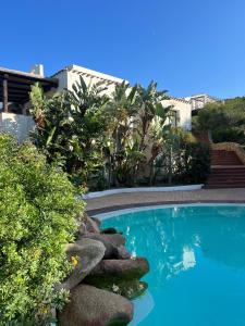 切尔沃港Residence Gli Oleandri 128 - Costa Smeralda - Porto Cervo的植物庭院中的游泳池