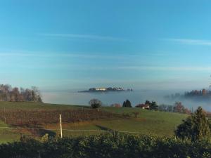 蒙多维Ca'Luna的远处一个有房子的雾 ⁇ 场的景色