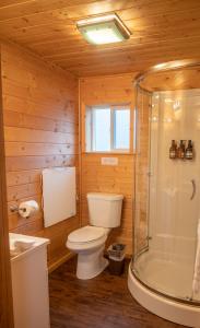 帕尔默Alaska Glacier Lodge的木制浴室设有卫生间和淋浴。