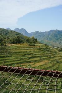 Pu LuongPù Luông Ecolodge的享有山脉背景的田野景色