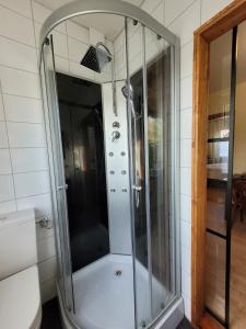 PogumLa Petite Gloire的浴室里设有玻璃门淋浴