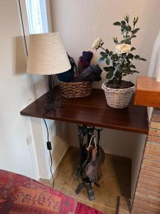 BelicenaCasa Rural Xauen的一张桌子,上面有两株植物,上面有一盏灯