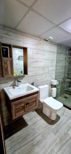 瓦迪拉姆Hasan Zawaideh luxury camp 2的一间带水槽和卫生间的浴室